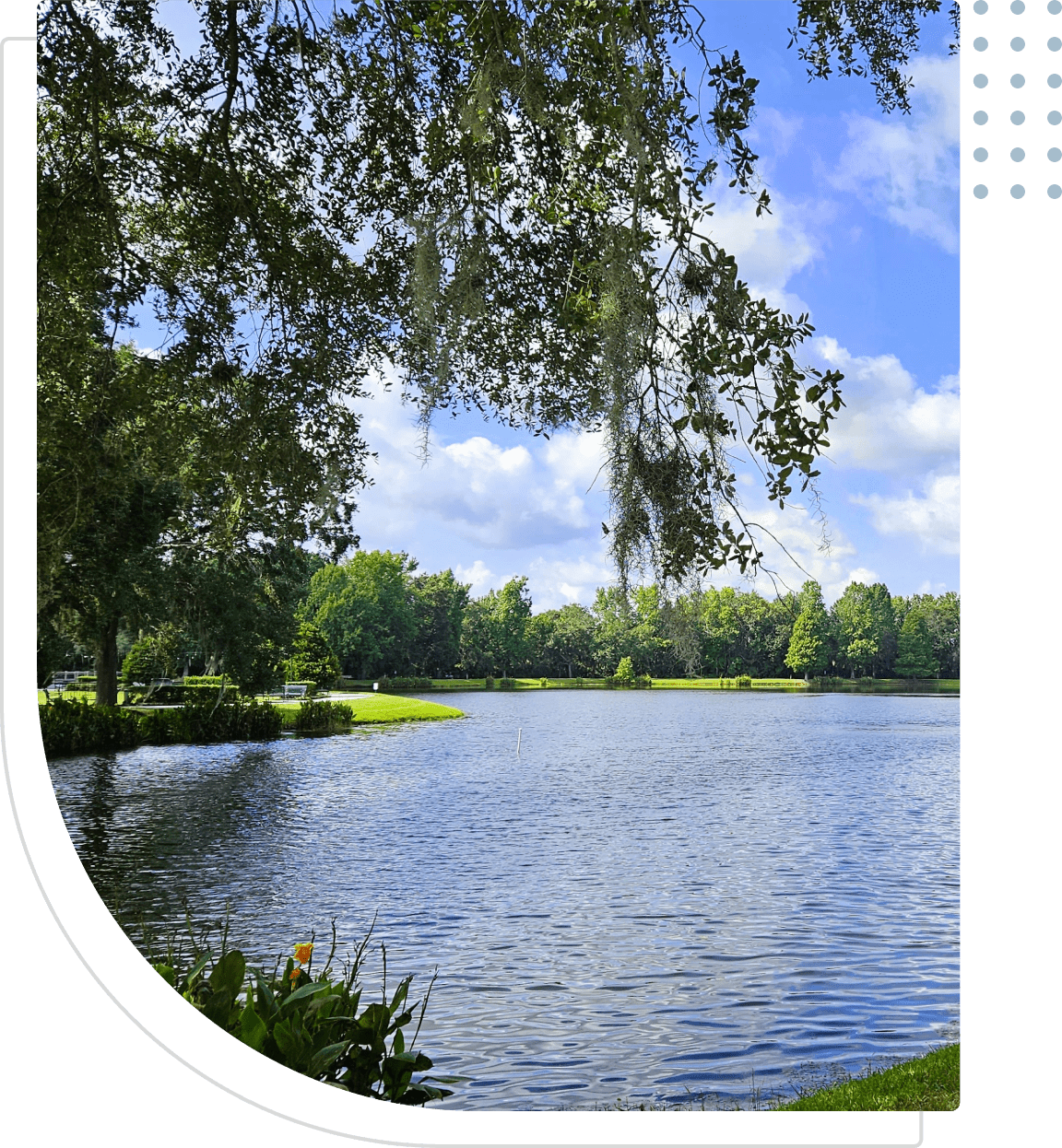 Peaceful lake with trees and blue sky.